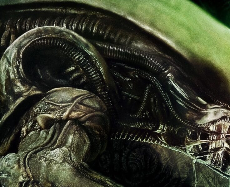 Obcy – decydujące starcie